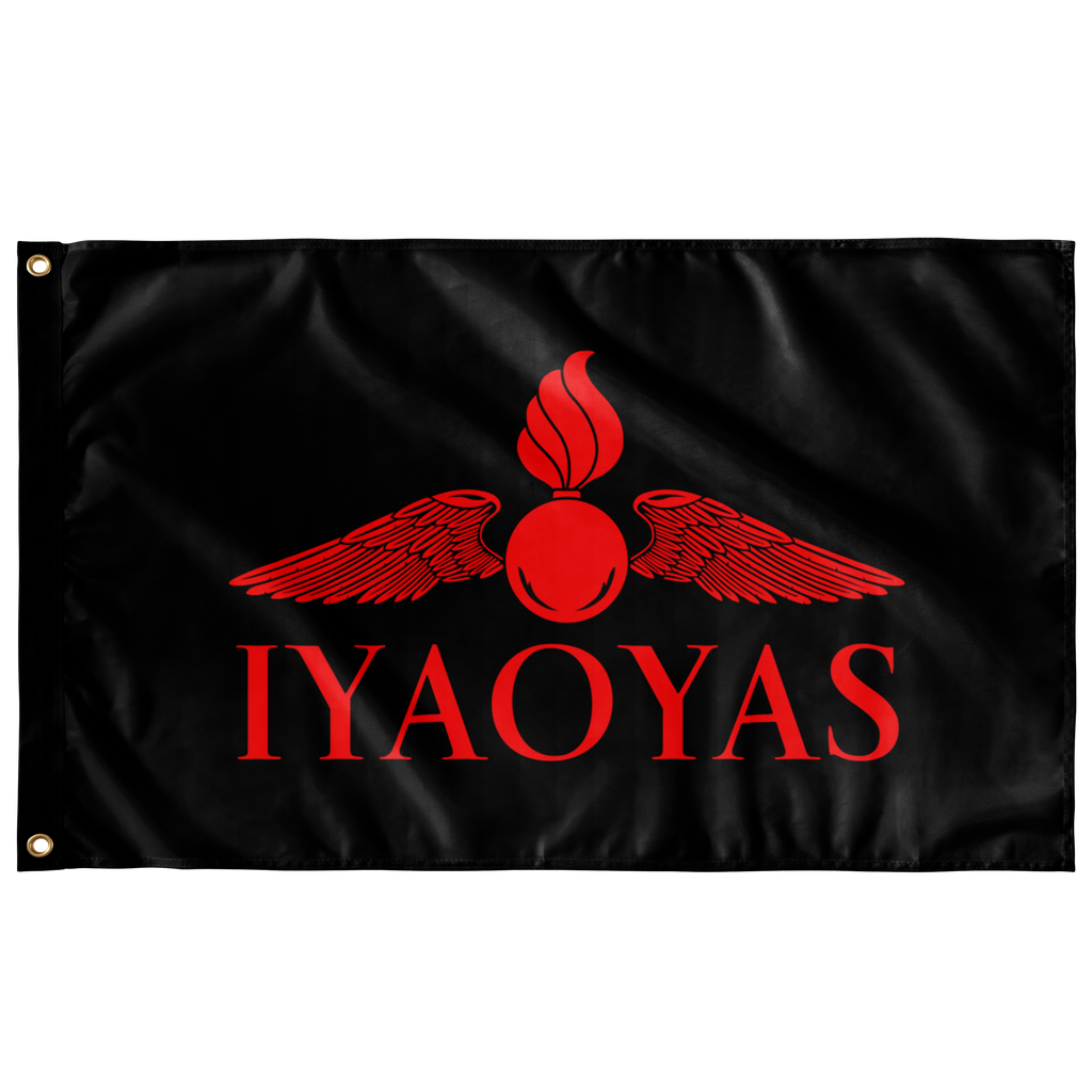 IYAOYAS 3' X 5' INDOOR FLAG